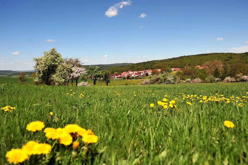 Landhotel Zur Gruenen Kutte Bernshausen Esterno foto