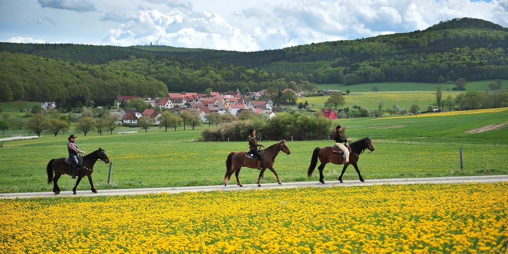 Landhotel Zur Gruenen Kutte Bernshausen Esterno foto